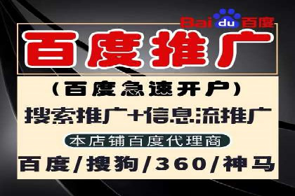 SEM广告的精准定向技巧与成功案例解析